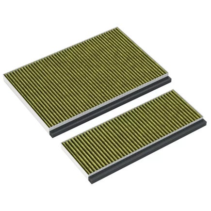 Bosch CleanAir Plus Koolstoffilter 17005406 (2St.)