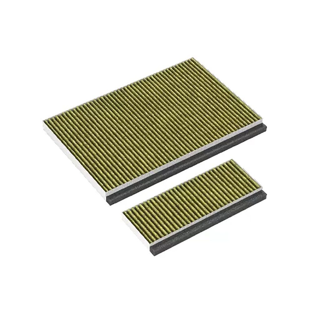 Constructa Koolstoffilter 17005802 / CZ51AIA0X0 (2St.)