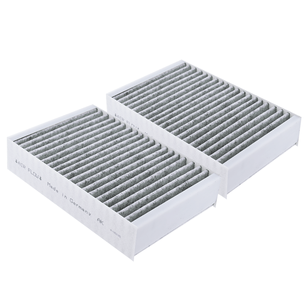 Koolstoffilter geschikt voor Miele DKF 31-P (2st.)