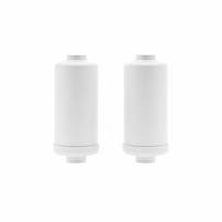 AllSpares Fluoride en Arseen Waterfilter (2St.) geschikt voor zwaartekrachtfiltersytemen van Berkey®