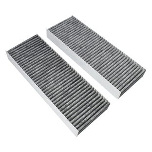 Koolstoffilter BAKFS (anti-visgeur) geschikt voor Bora Basic / BHU / BIU / BFIU / GP4 (2st.)