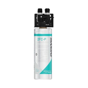 Everpure Waterfiltersysteem 2FC-P