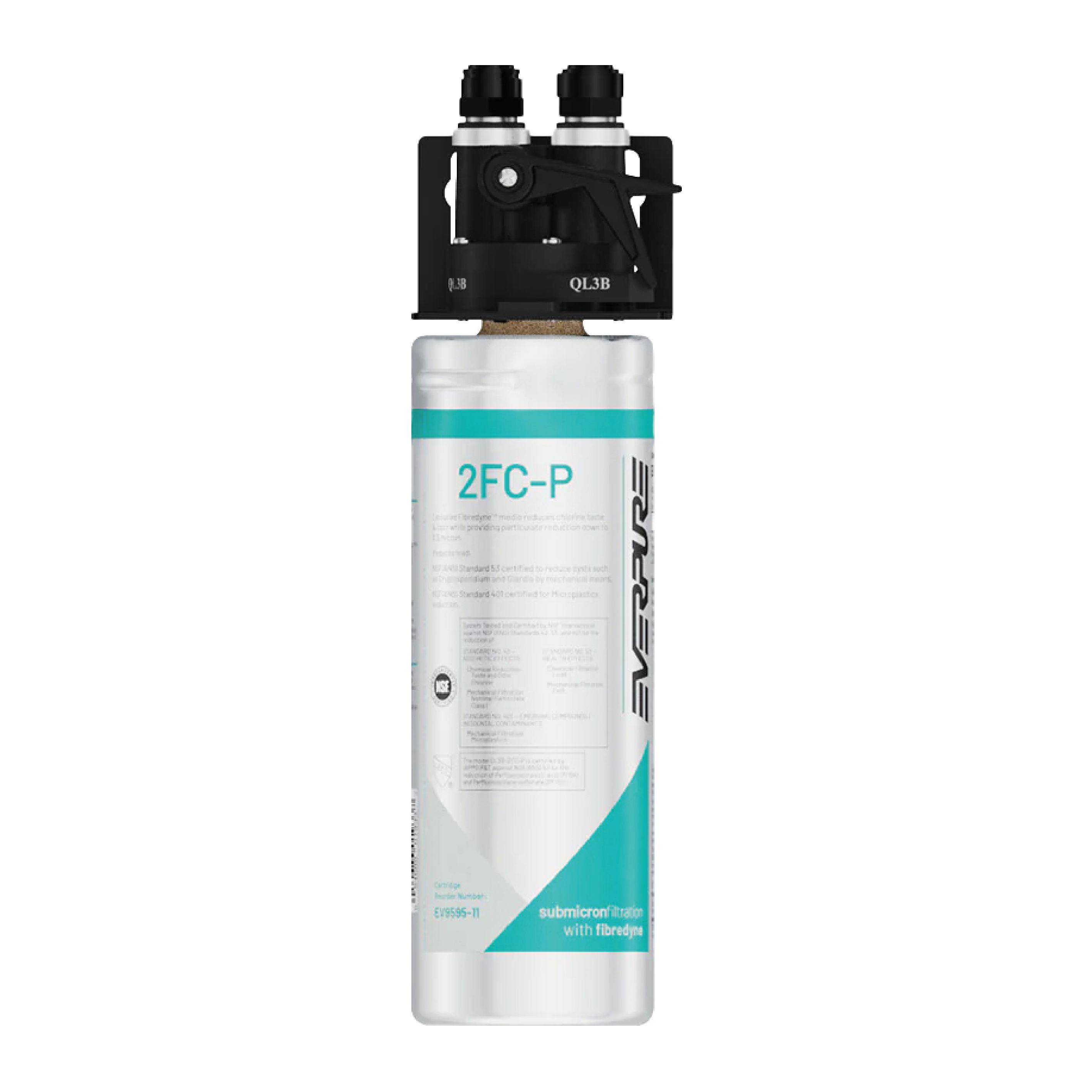 Everpure Waterfiltersysteem 2FC-P