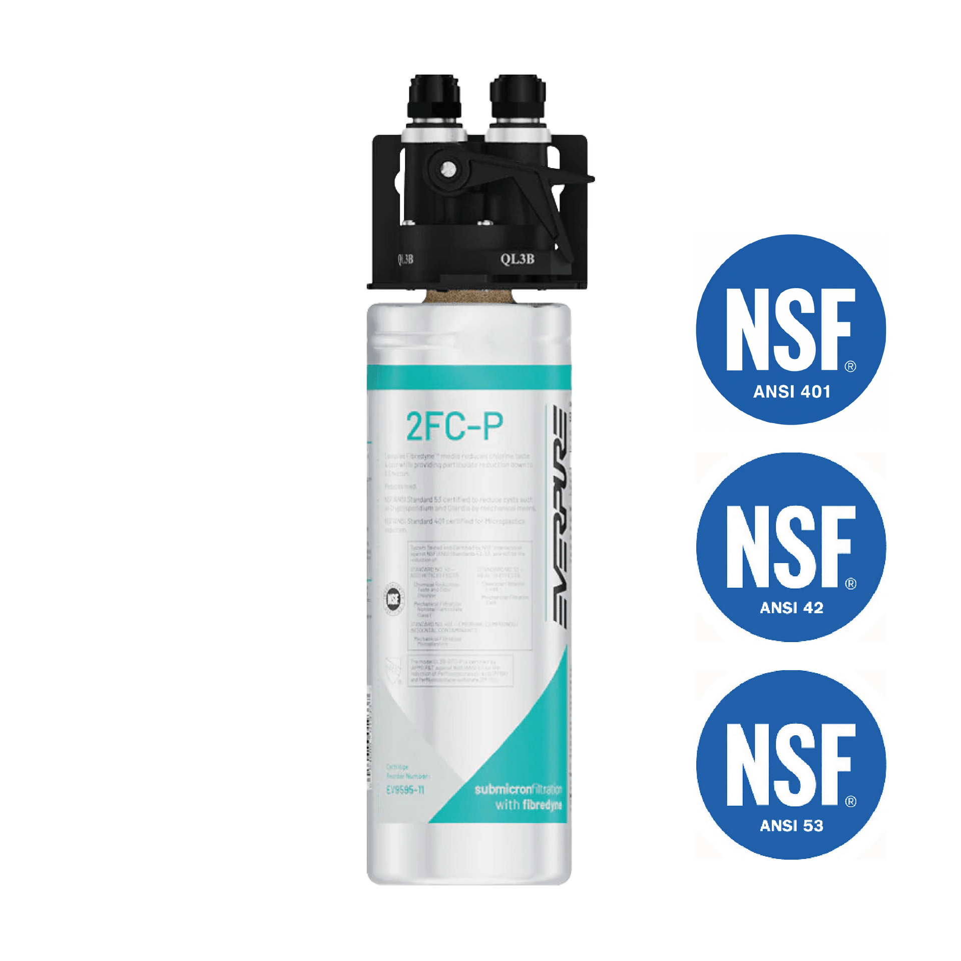 Everpure Waterfiltersysteem 2FC-P