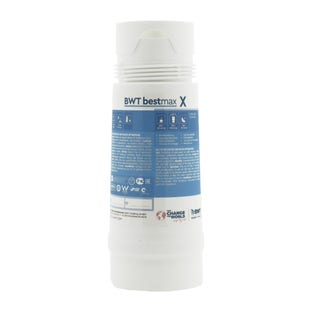 BWT Bestmax X Waterfilterpatroon FS20I00A00
