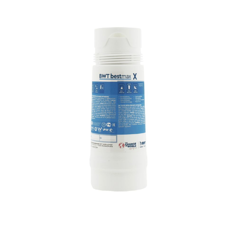 BWT Bestmax X Waterfilterpatroon FS20I00A00