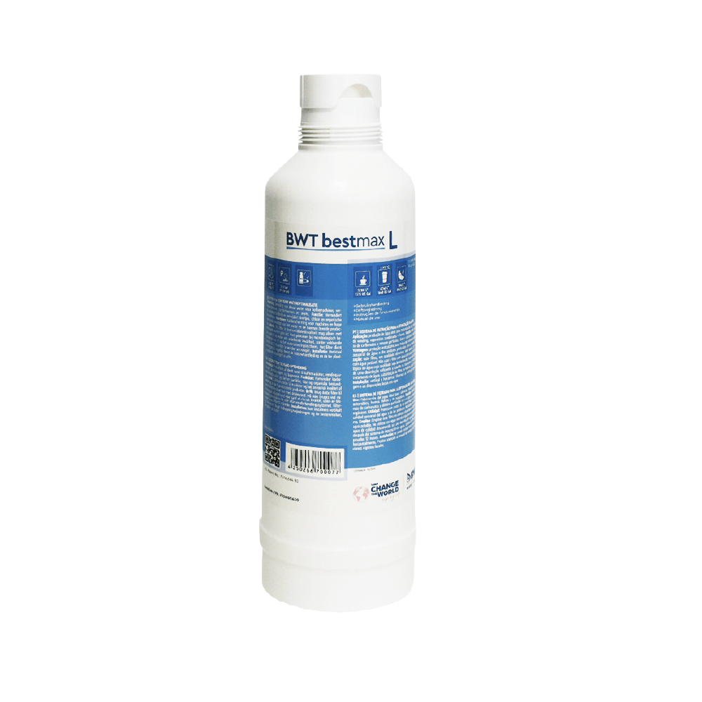 BWT Bestmax L Waterfilterpatroon FS26I00A00