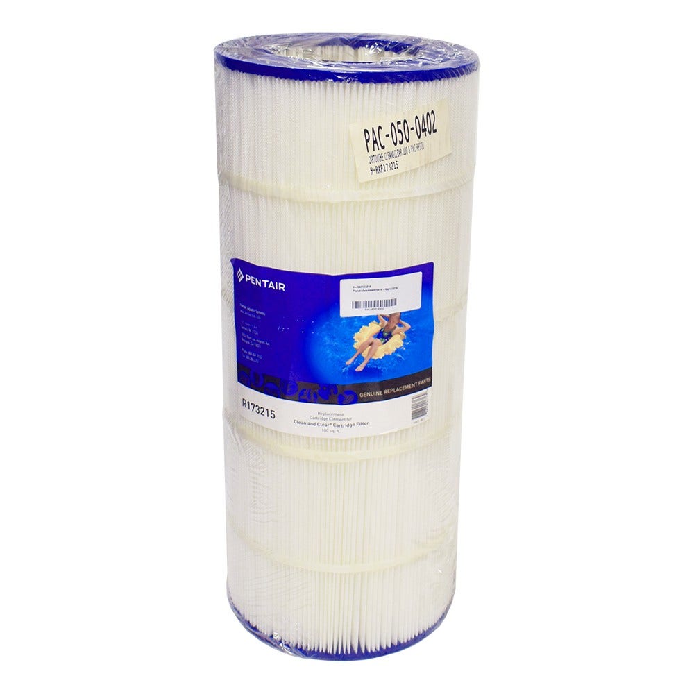Pentair Zwembad Waterfilter Clean & Clear 100 / CNC-RP100