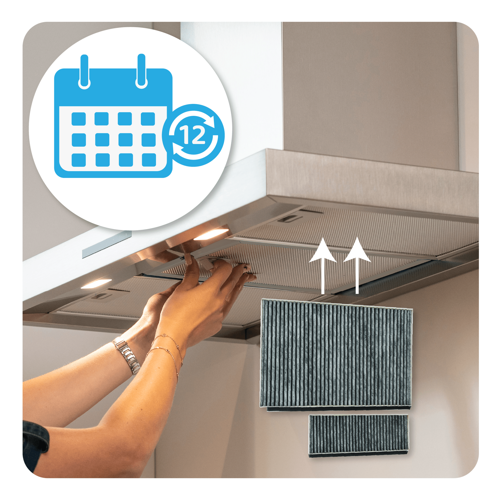 CleanAir Plus Koolstoffilter geschikt voor Viva 11041790 (2St.)