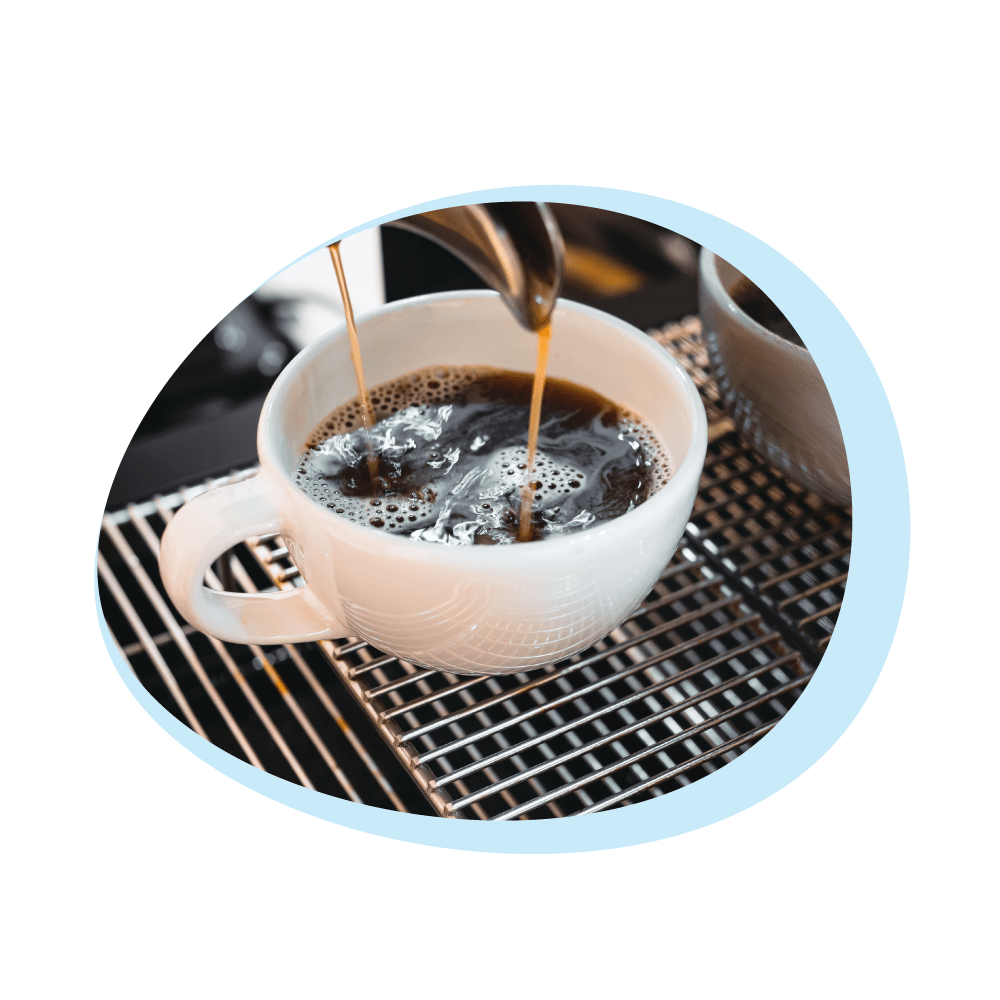 Vloeibare Ontkalker geschikt voor Delonghi EcoDecalk DLSC500 (500ml)