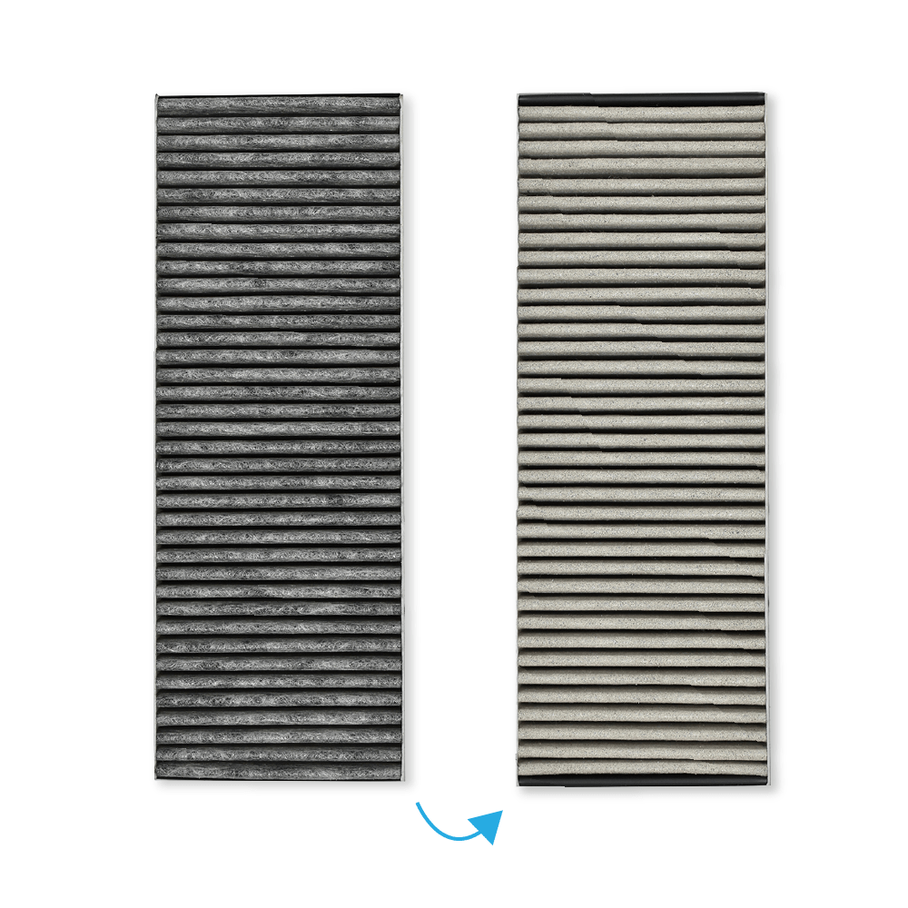 Koolstoffilter BAKFS (anti-visgeur) geschikt voor Bora Basic / BHU / BIU / BFIU / GP4 (2st.)