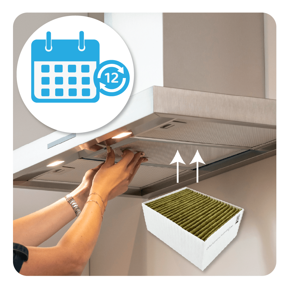 CleanAir Plus Koolstoffilter geschikt voor Gaggenau 11033934 / 11017314